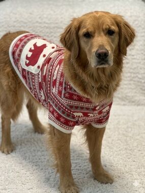 Little Blue House Festive Dog Pyjamas